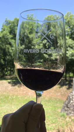 Bodegas Rivero González, the family's renowned wine-making business in Mexico.