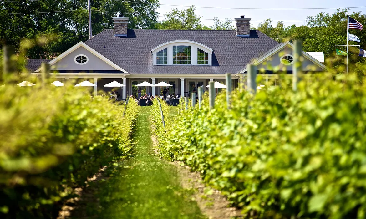 RGNY, formerly Martha Clara Vineyards, the largest vineyard in the North Fork of Long Island.